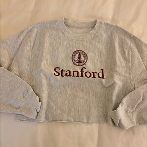 Champion Stanford Logo Gray Cropped Sweatshirt logo tree cardinal hoodie